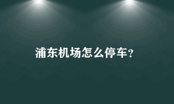 浦东机场怎么停车?