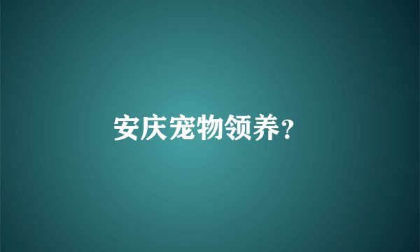 安庆宠物领养？