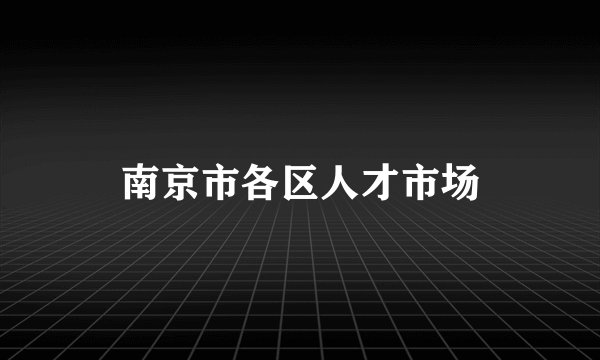南京市各区人才市场