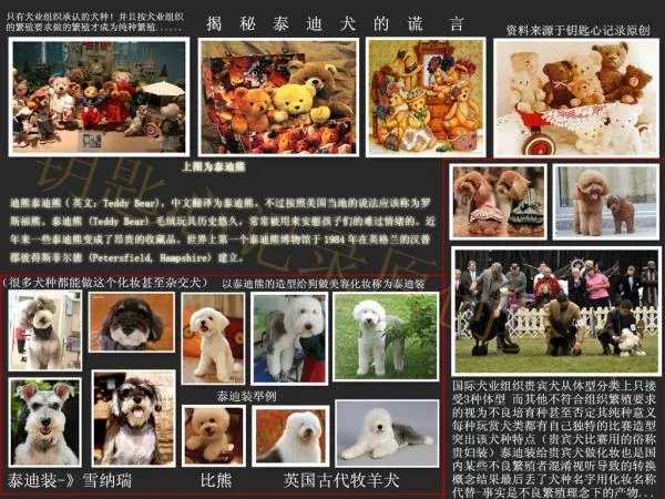 1500贵了吗这个狗？这狗的全称是什么？