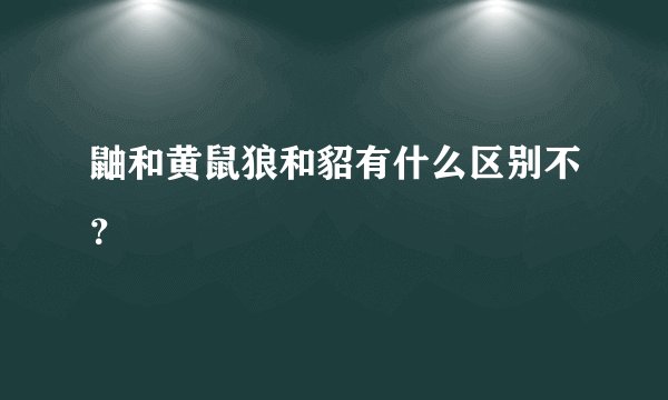 鼬和黄鼠狼和貂有什么区别不?