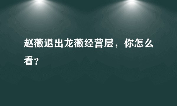 赵薇退出龙薇经营层，你怎么看？