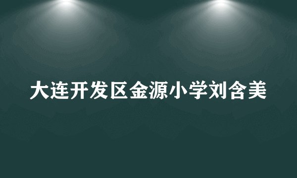 大连开发区金源小学刘含美