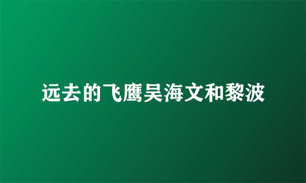 远去的飞鹰吴海文和黎波