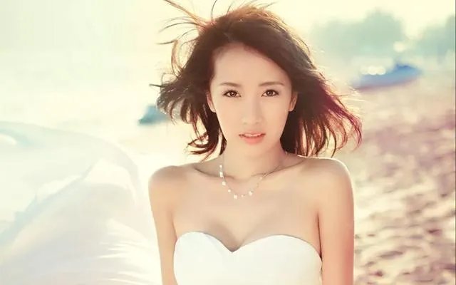 《蜗居》中和张嘉译搭档的李念为什么没有火？