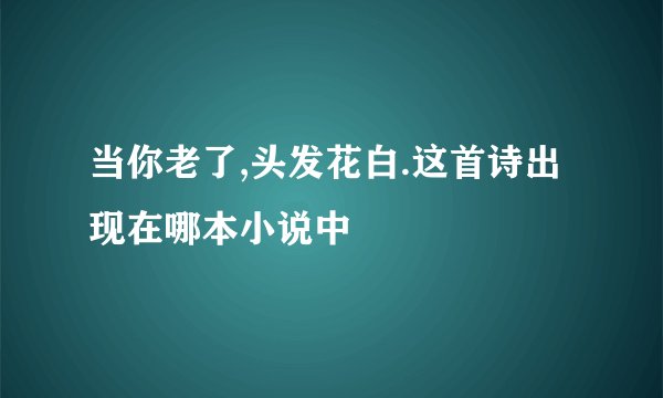 当你老了,头发花白.这首诗出现在哪本小说中