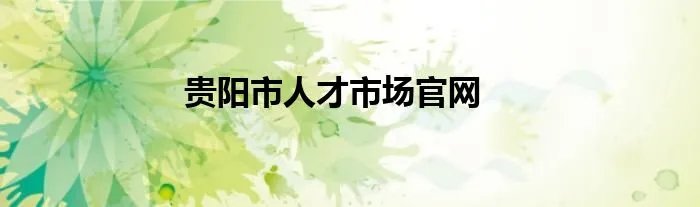 贵阳市人才市场官网
