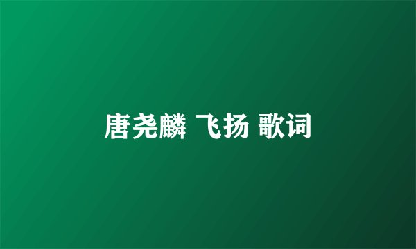 唐尧麟 飞扬 歌词