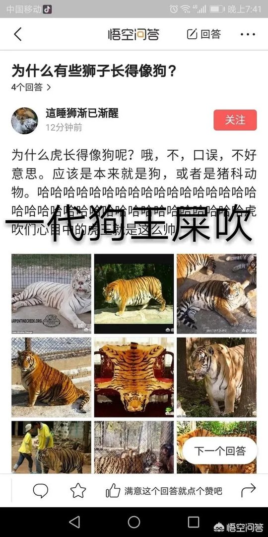 鬣狗狮子
