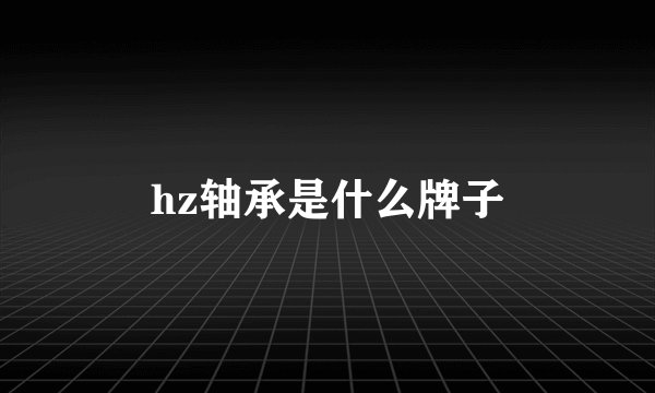 hz轴承是什么牌子