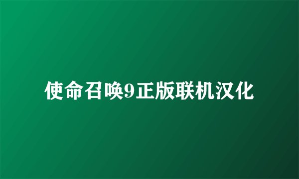 使命召唤9正版联机汉化