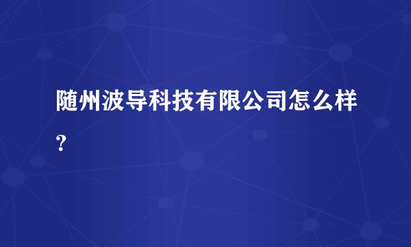 随州波导科技有限公司怎么样?