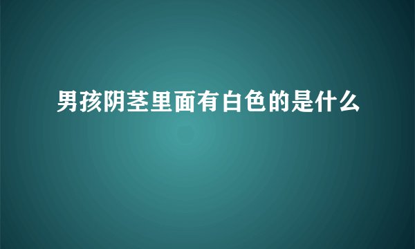 男孩阴茎里面有白色的是什么
