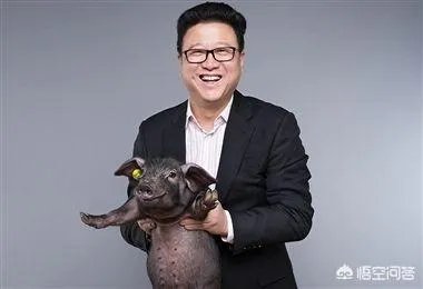 丁磊养猪,腾讯养鹅,大佬们为何“不务正业”?