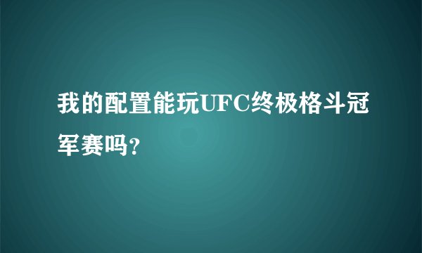 我的配置能玩UFC终极格斗冠军赛吗？