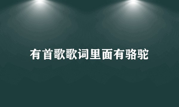 有首歌歌词里面有骆驼