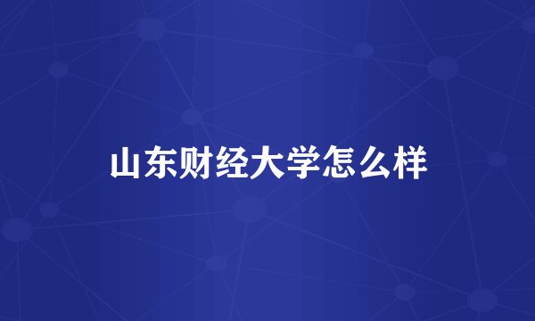 山东财经大学怎么样