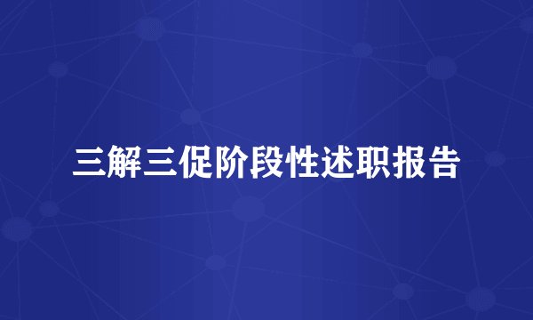 三解三促阶段性述职报告