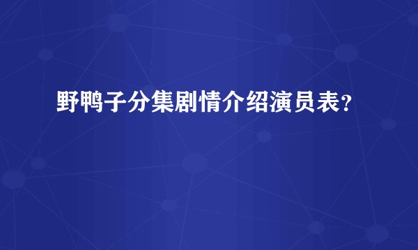 野鸭子分集剧情介绍演员表？