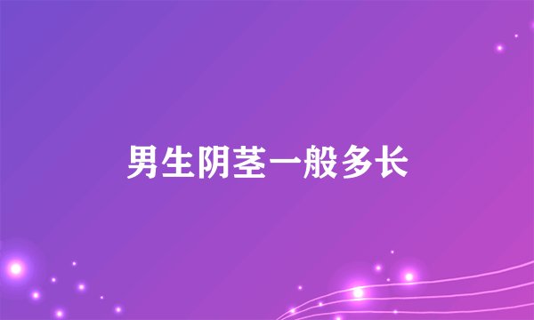 男生阴茎一般多长