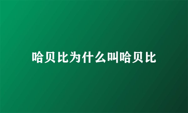 哈贝比为什么叫哈贝比