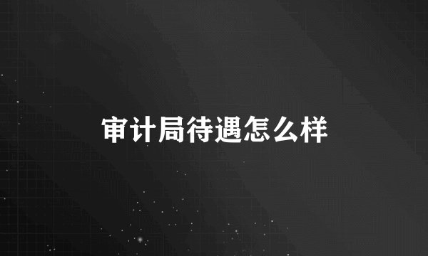 审计局待遇怎么样