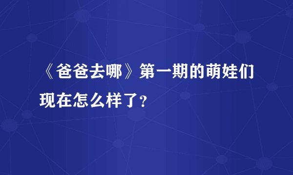 《爸爸去哪》第一期的萌娃们现在怎么样了?