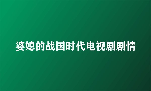 婆媳的战国时代电视剧剧情