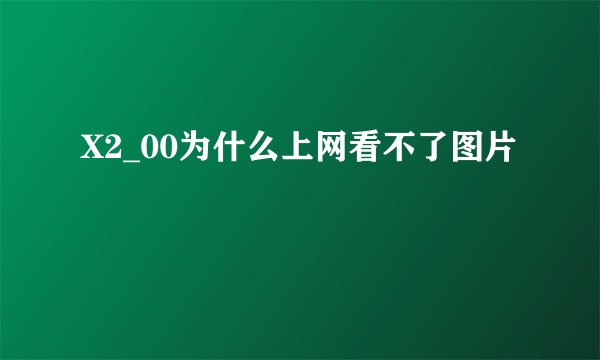 X2_00为什么上网看不了图片