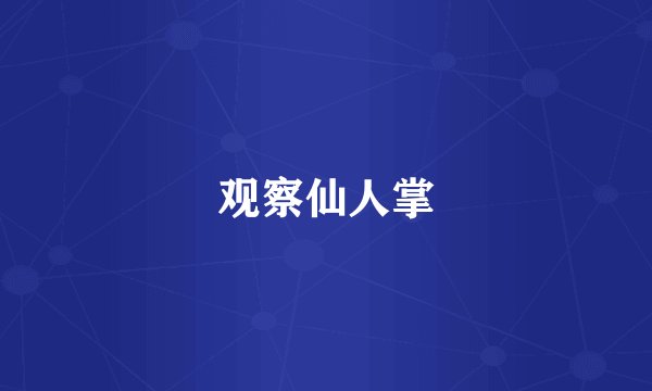 观察仙人掌