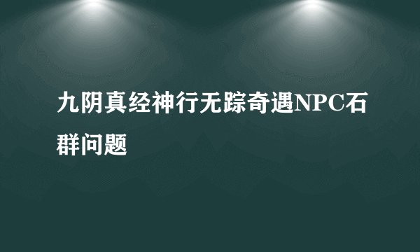 九阴真经神行无踪奇遇NPC石群问题