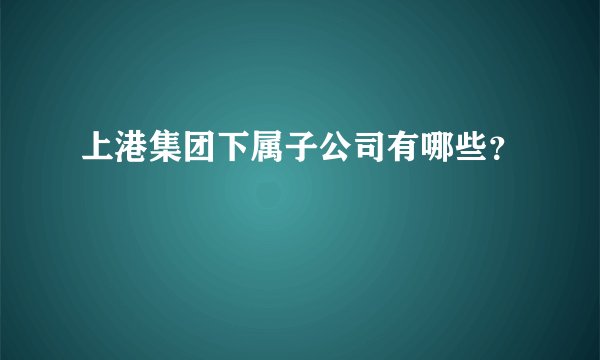 上港集团下属子公司有哪些？
