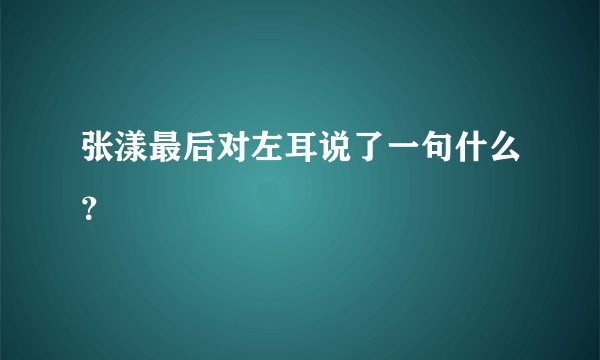张漾最后对左耳说了一句什么？