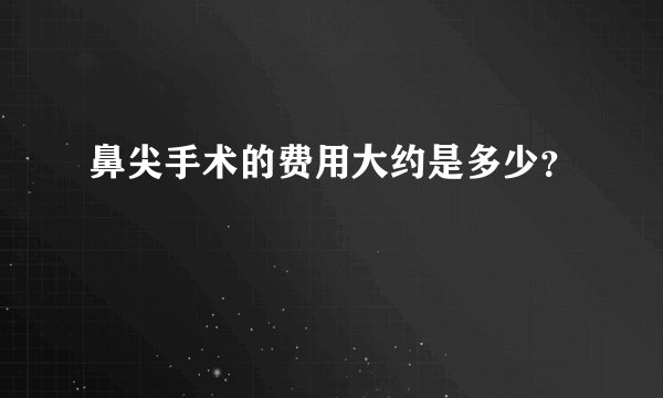 鼻尖手术的费用大约是多少？