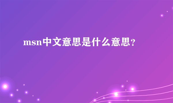 msn中文意思是什么意思？