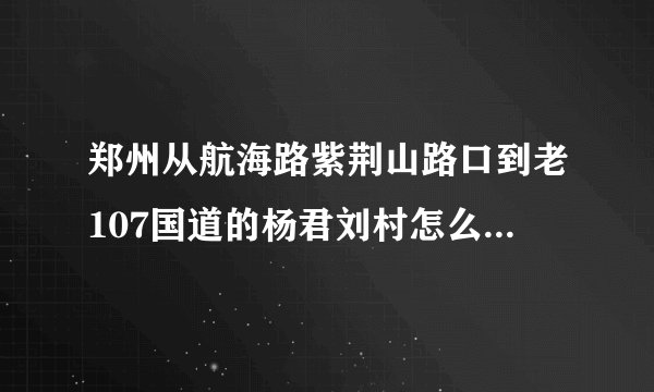 郑州从航海路紫荆山路口到老107国道的杨君刘村怎么坐公交车
