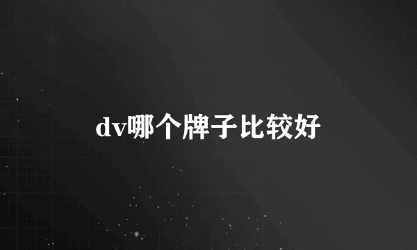 dv哪个牌子比较好