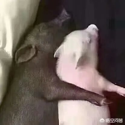 有人说“靠自己的女人最好命！”你认同这句话吗？为什么？