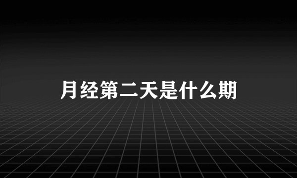 月经第二天是什么期
