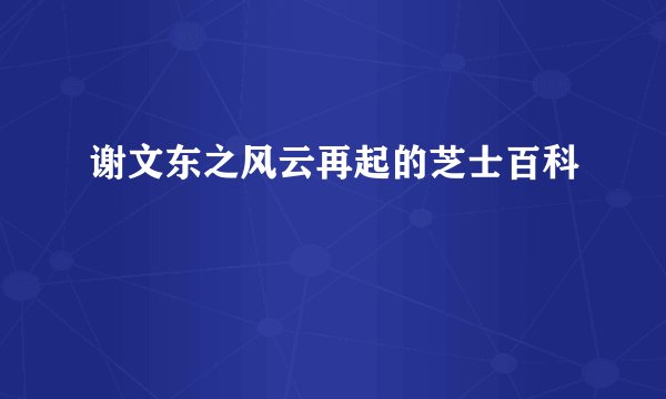谢文东之风云再起的芝士百科