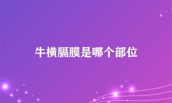 牛横膈膜是哪个部位