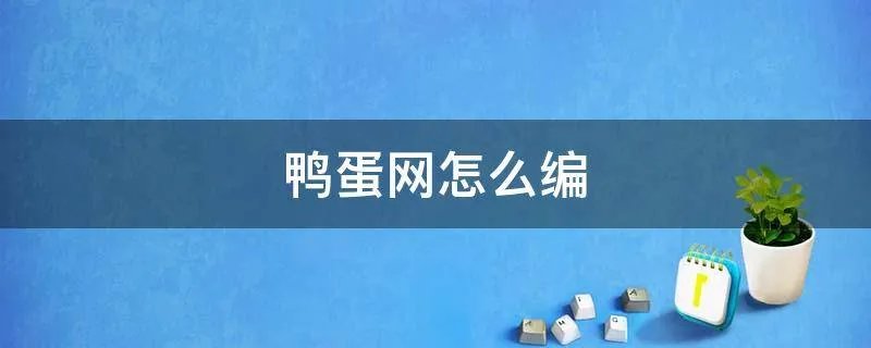 鸭蛋网怎么编