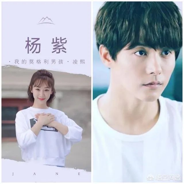 杨紫近况如何?有何最新动向?