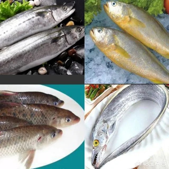 怎么挑选最鲜的海鲜?