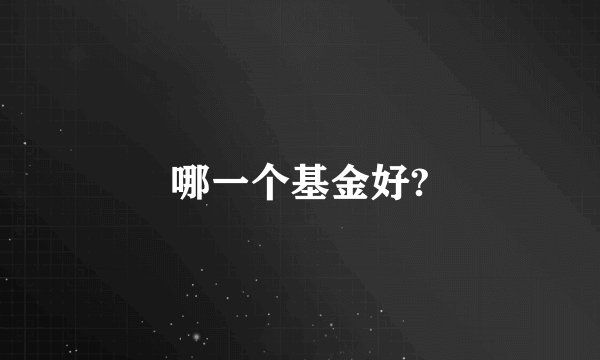 哪一个基金好?