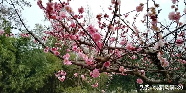 在这个三八妇女节,你对心中的女神最想说什么话?