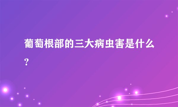 葡萄根部的三大病虫害是什么？