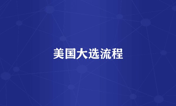 美国大选流程