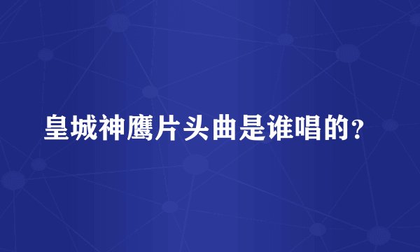 皇城神鹰片头曲是谁唱的？
