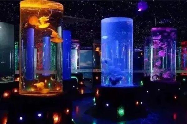 郑州两个海洋馆哪个好